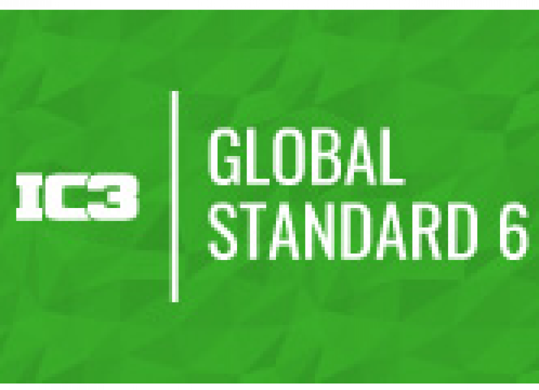 IC3 Global Standard 6 Level 2